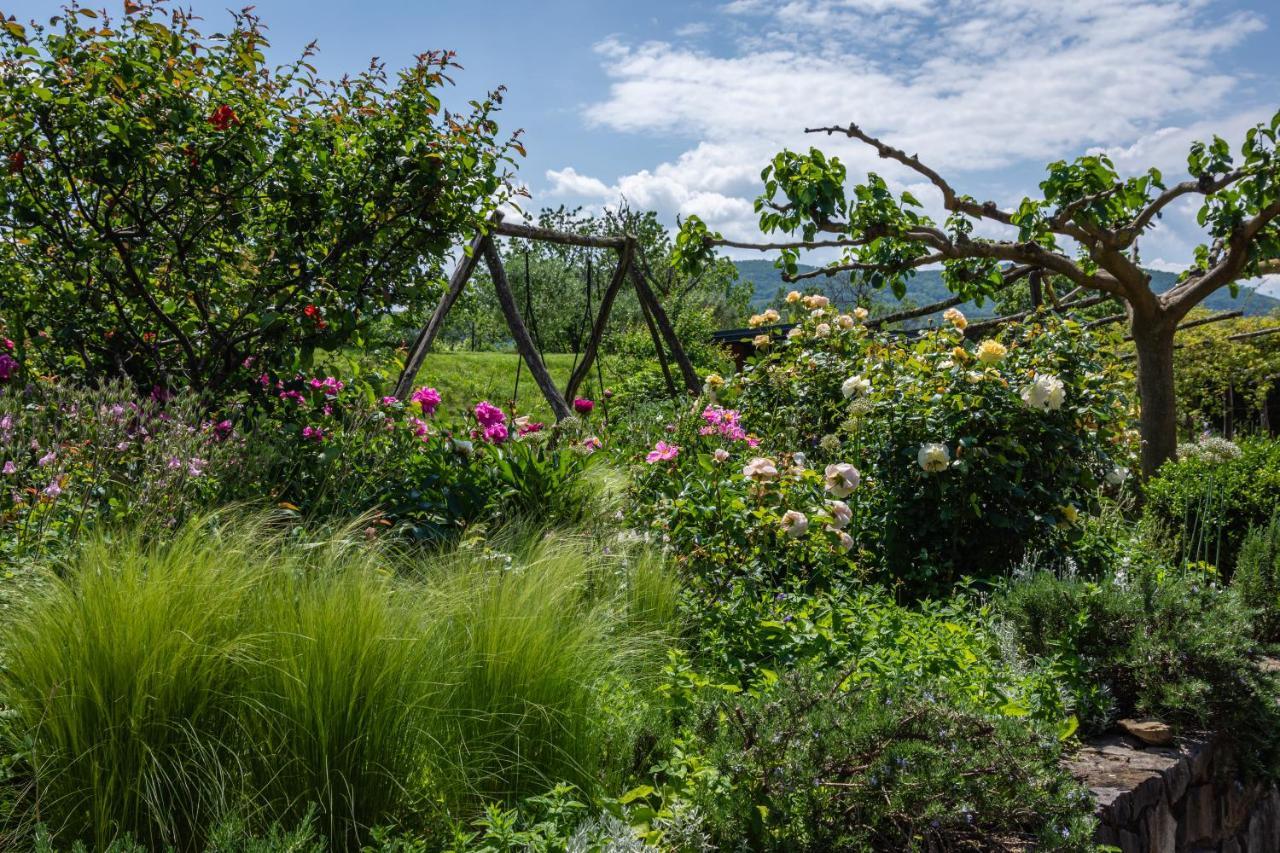 Rooms&Vinery Bregovi - Sobe In Vinska Klet Bregovi Dobravlje Εξωτερικό φωτογραφία