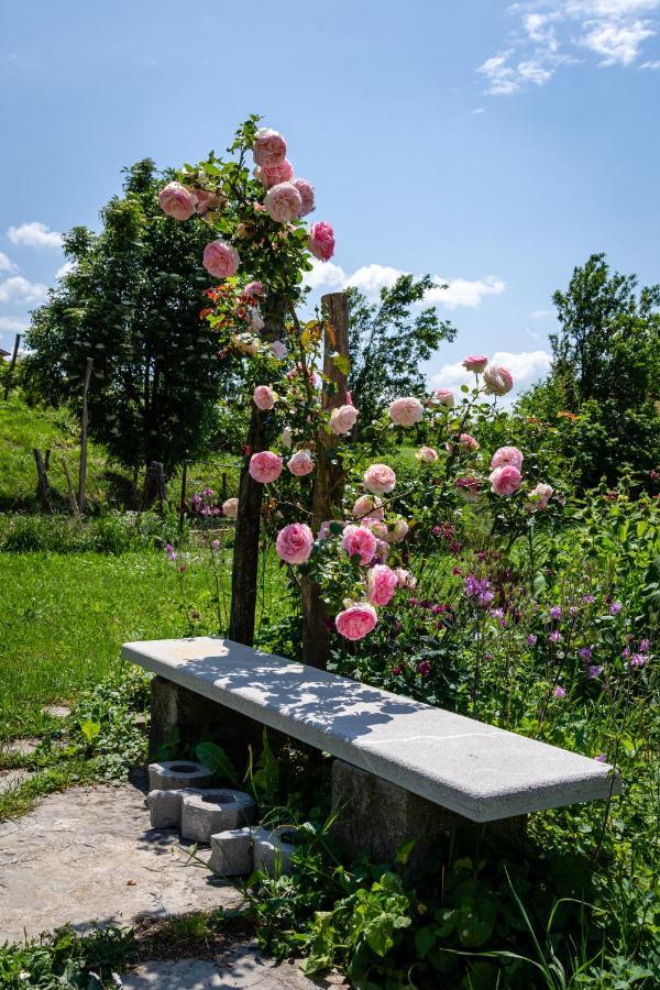 Rooms&Vinery Bregovi - Sobe In Vinska Klet Bregovi Dobravlje Εξωτερικό φωτογραφία