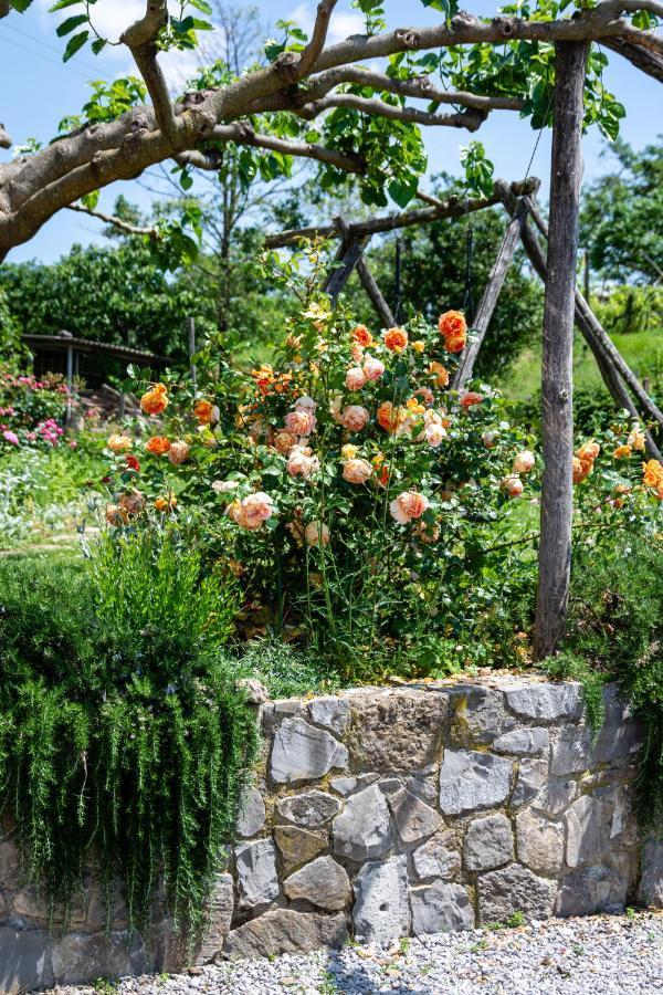 Rooms&Vinery Bregovi - Sobe In Vinska Klet Bregovi Dobravlje Εξωτερικό φωτογραφία