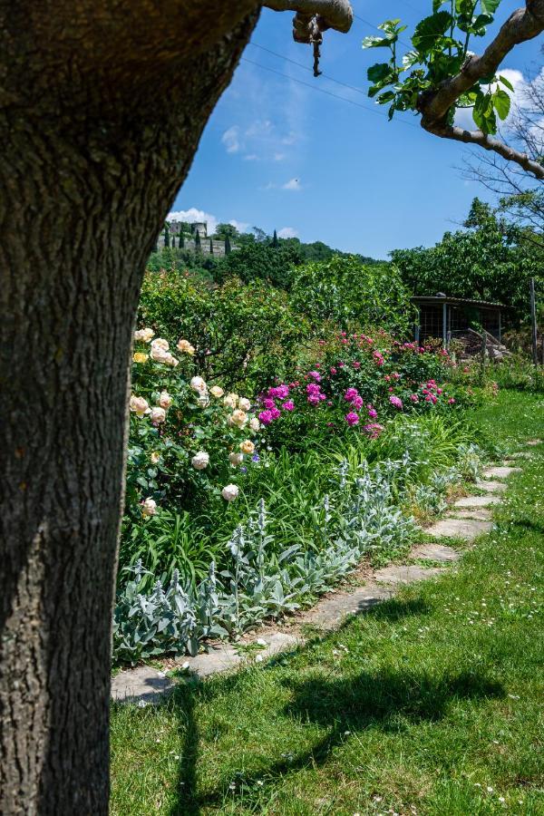 Rooms&Vinery Bregovi - Sobe In Vinska Klet Bregovi Dobravlje Εξωτερικό φωτογραφία