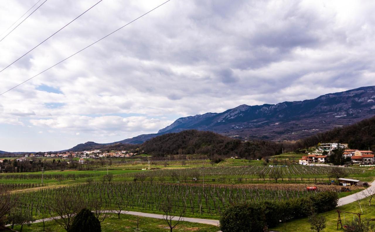 Rooms&Vinery Bregovi - Sobe In Vinska Klet Bregovi Dobravlje Εξωτερικό φωτογραφία